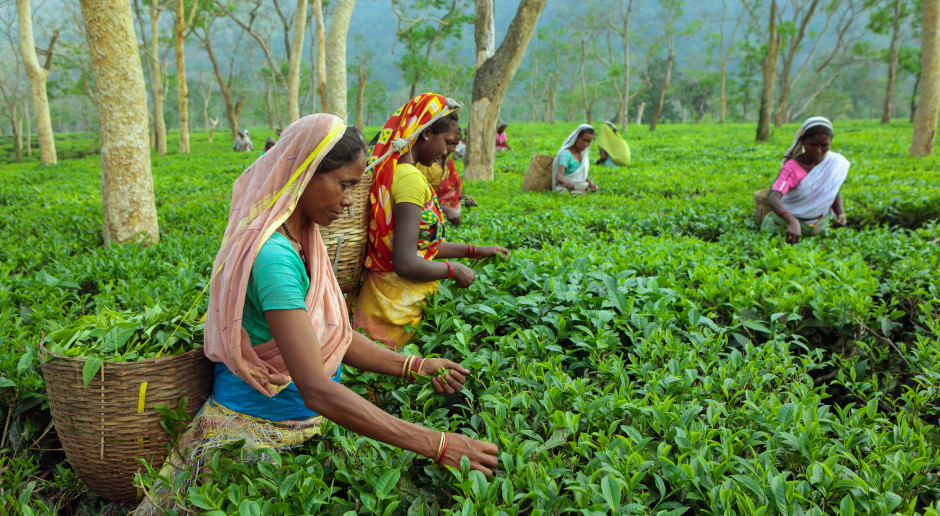 Indie: Kolejny dzień protestów rolników przeciwko nowemu prawu