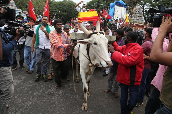 Największy strajk w historii Indii